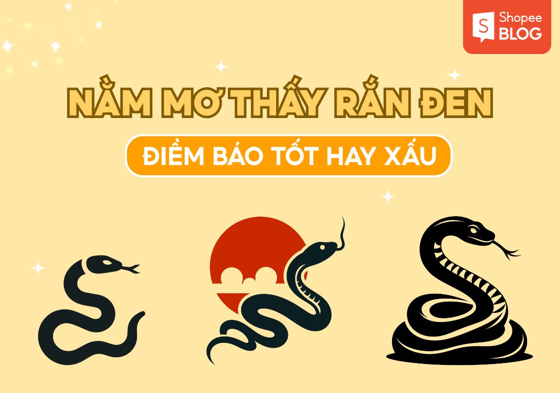 Nằm Mơ Thấy Rắn Đen: Điềm báo tốt hay xấu? 1