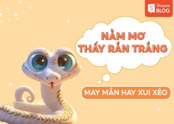 Nằm mơ thấy rắn trắng: Giải mã giấc mơ may mắn hay xui xẻo! 3