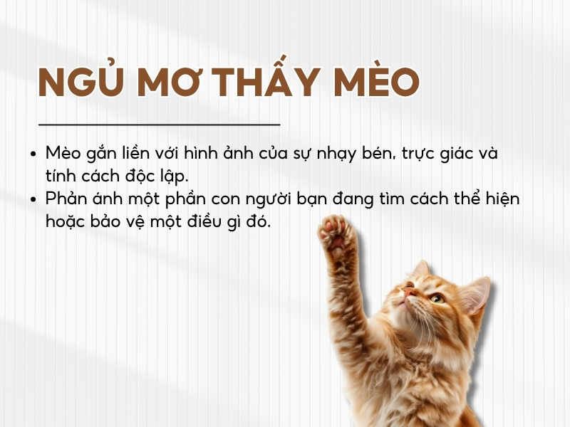 Giải mã nằm mơ thấy mèo