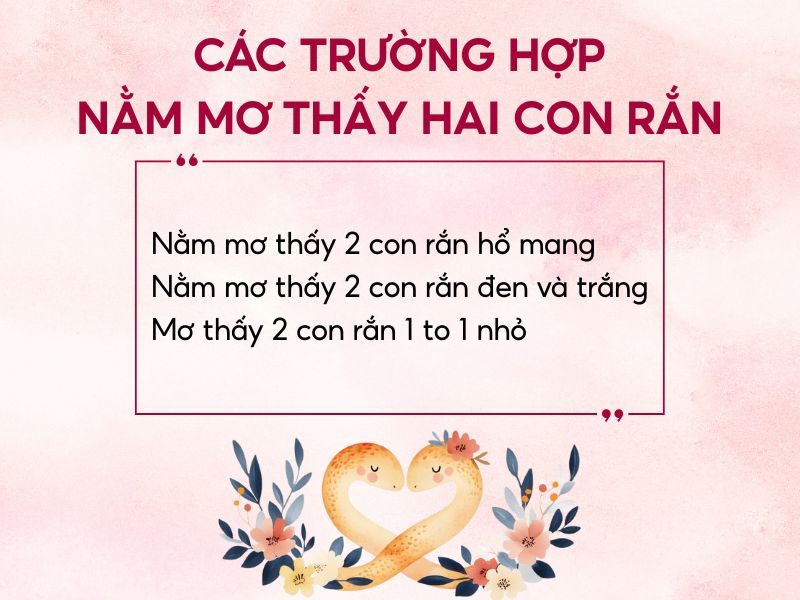 hình minh hoạ các trường hợp nằm mơ thấy hai con rắn
