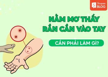 Nằm Mơ Thấy Rắn Cắn Vào Tay: Giải Mã Điềm Báo Và Ý Nghĩa Thật Sự 2
