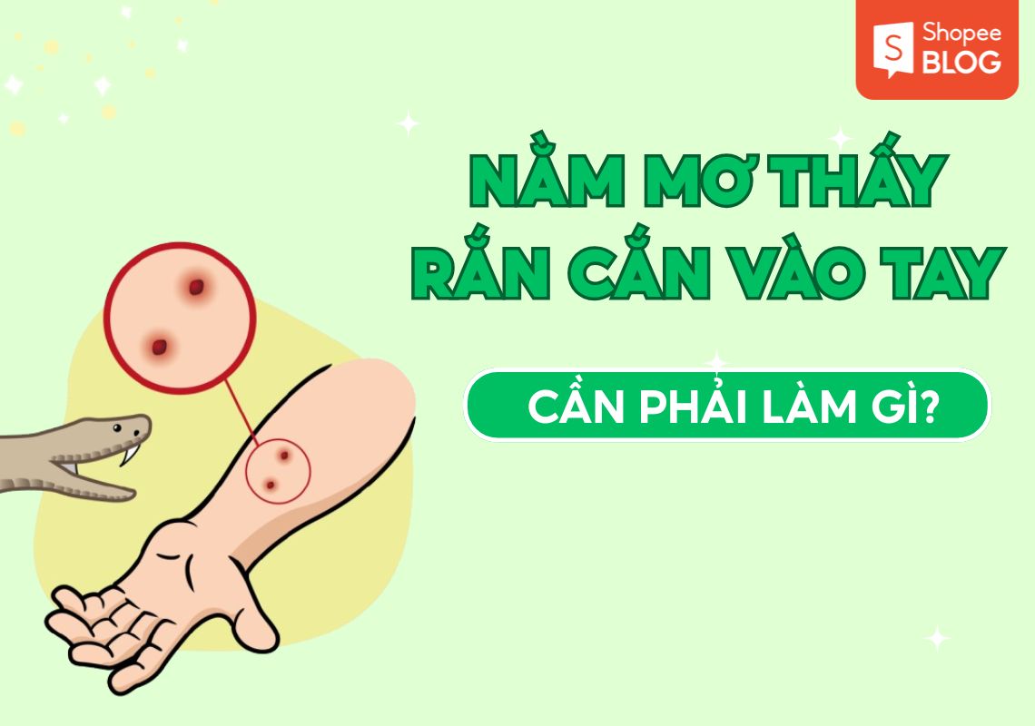 Nằm Mơ Thấy Rắn Cắn Vào Tay: Giải Mã Điềm Báo Và Ý Nghĩa Thật Sự 1