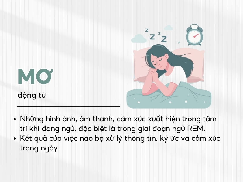 Giải đáp về giấc mơ