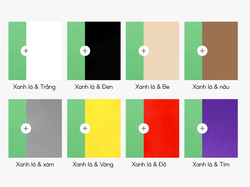 Màu xanh lá phối với màu gì? Bảng phối màu phù hợp với màu xanh lá 