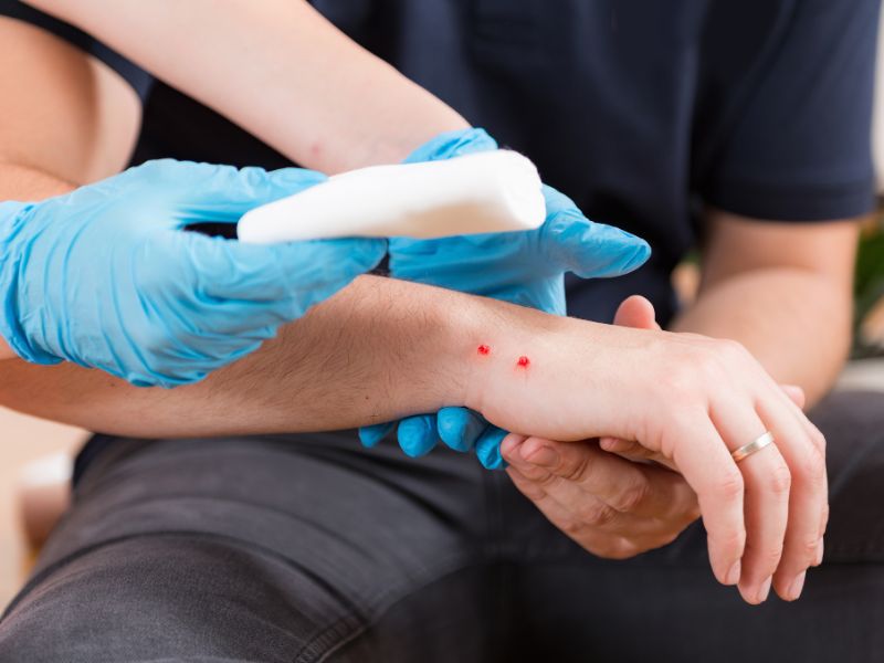 người bị rắn cắn đang được sơ cứu