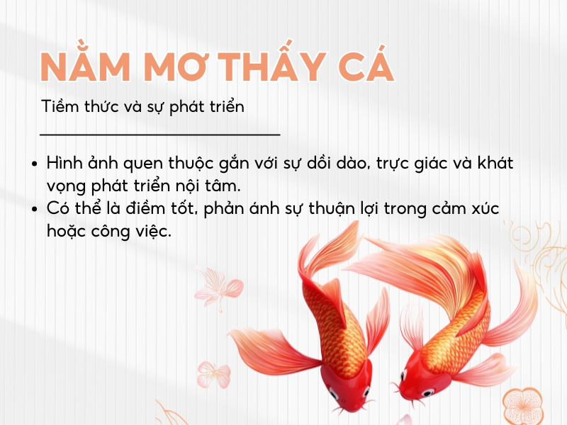 Giải mã nằm mơ thấy con cá