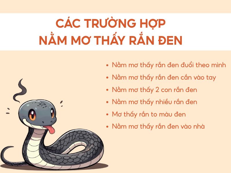 hình ảnh minh hoạ các trường hợp nằm mơ thấy rắn đen