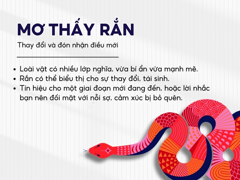 Giải mã việc nằm mơ thấy con rắn