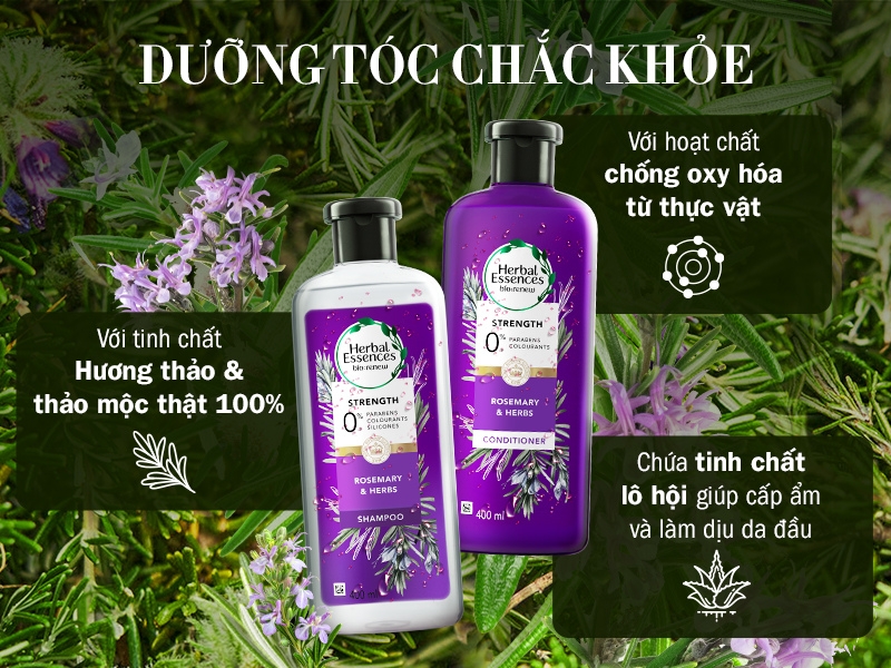 Bộ dầu gội cho tóc nhuộm Herbal Essences 