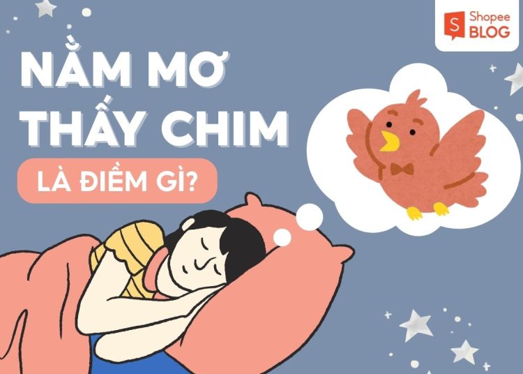 nằm mơ thấy chim
