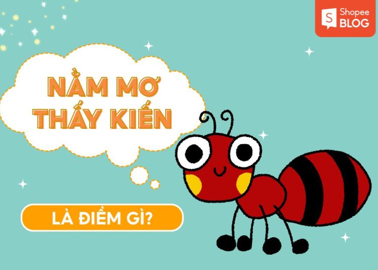 nằm mơ thấy kiến