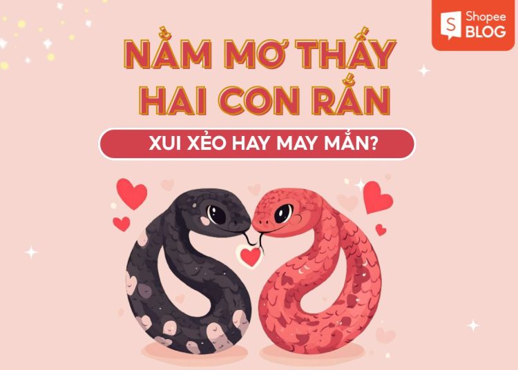 nam mo thay hai con ran