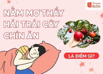 NAM MO THAY HAI TRAI CAY CHIN AN