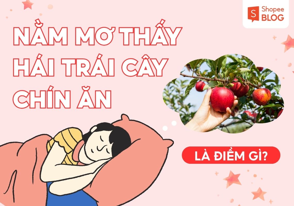 NAM MO THAY HAI TRAI CAY CHIN AN