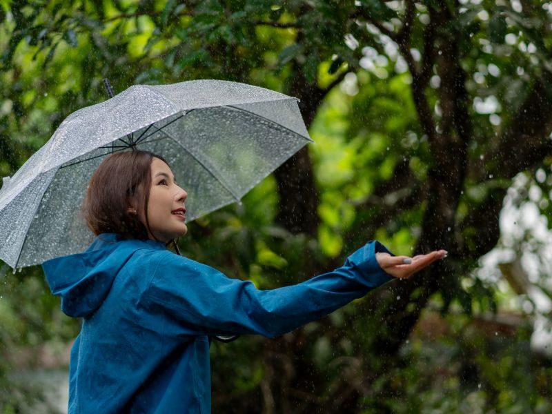 người cầm dù dưới mưa