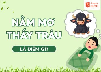 nam mo thay trau
