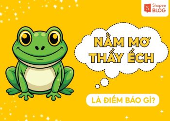 NAM MO THAY ECH