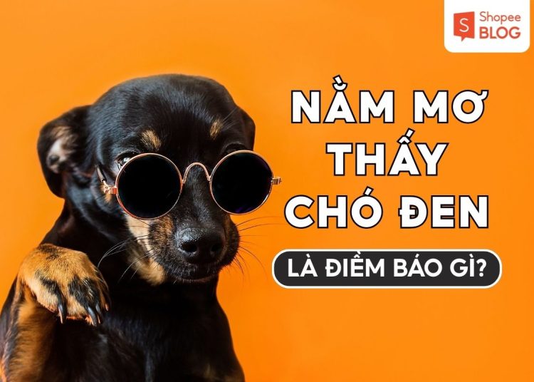 Nằm mơ thấy chó đen có ý nghĩa gì? Giải mã & Con số may mắn 1