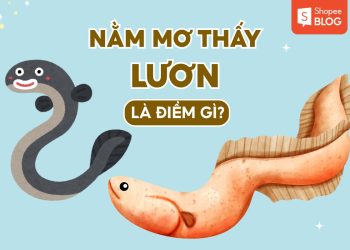 nằm mơ thấy lươn