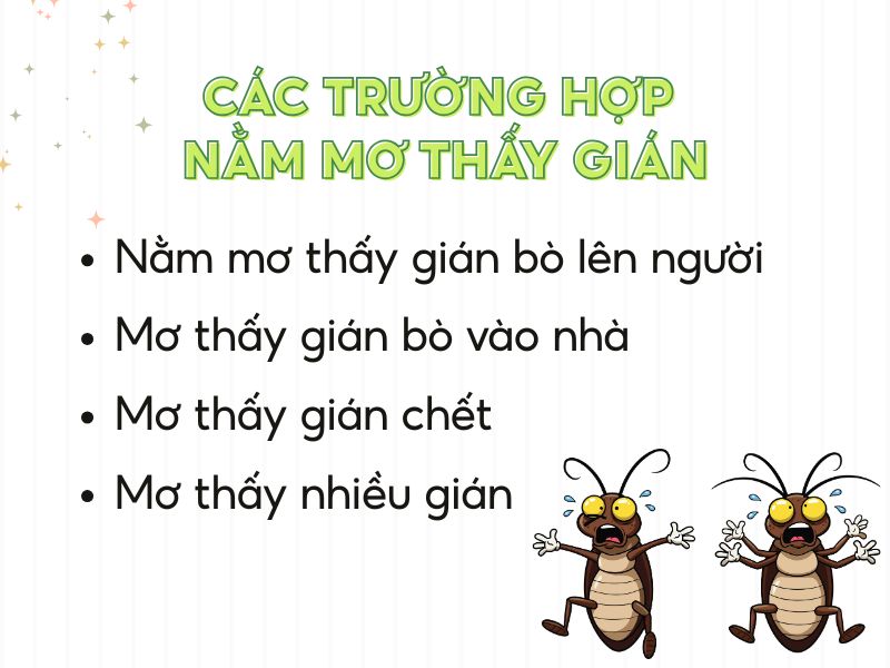 các trường hợp nằm mơ thấy gián