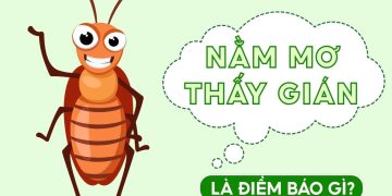 NAM MO THAY GIAN