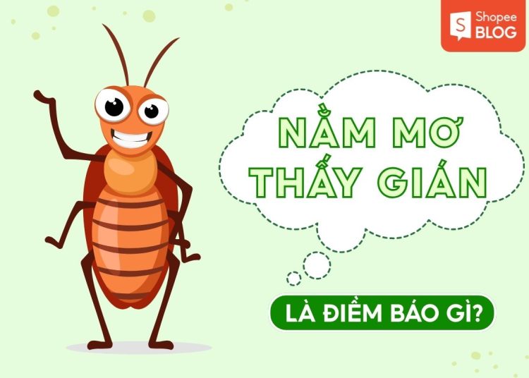 NAM MO THAY GIAN