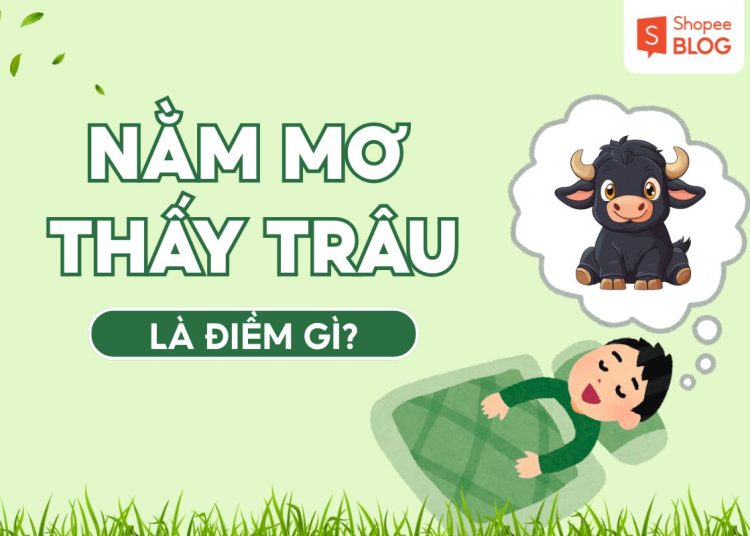 Nằm Mơ Thấy Trâu Là Điềm Gì? Giải Mã Giấc Mơ Thấy Trâu Chi Tiết 1