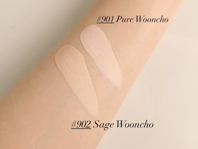 swatch màu Dinto Blur-Finish Cushion