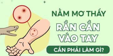Nằm Mơ Thấy Rắn Cắn Vào Tay: Giải Mã Điềm Báo Và Ý Nghĩa Thật Sự 1