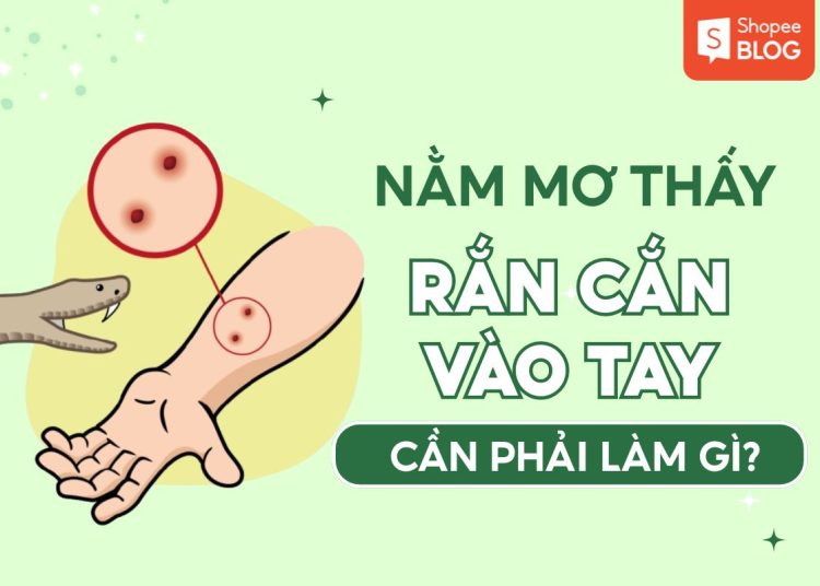 Nằm Mơ Thấy Rắn Cắn Vào Tay: Giải Mã Điềm Báo Và Ý Nghĩa Thật Sự 1