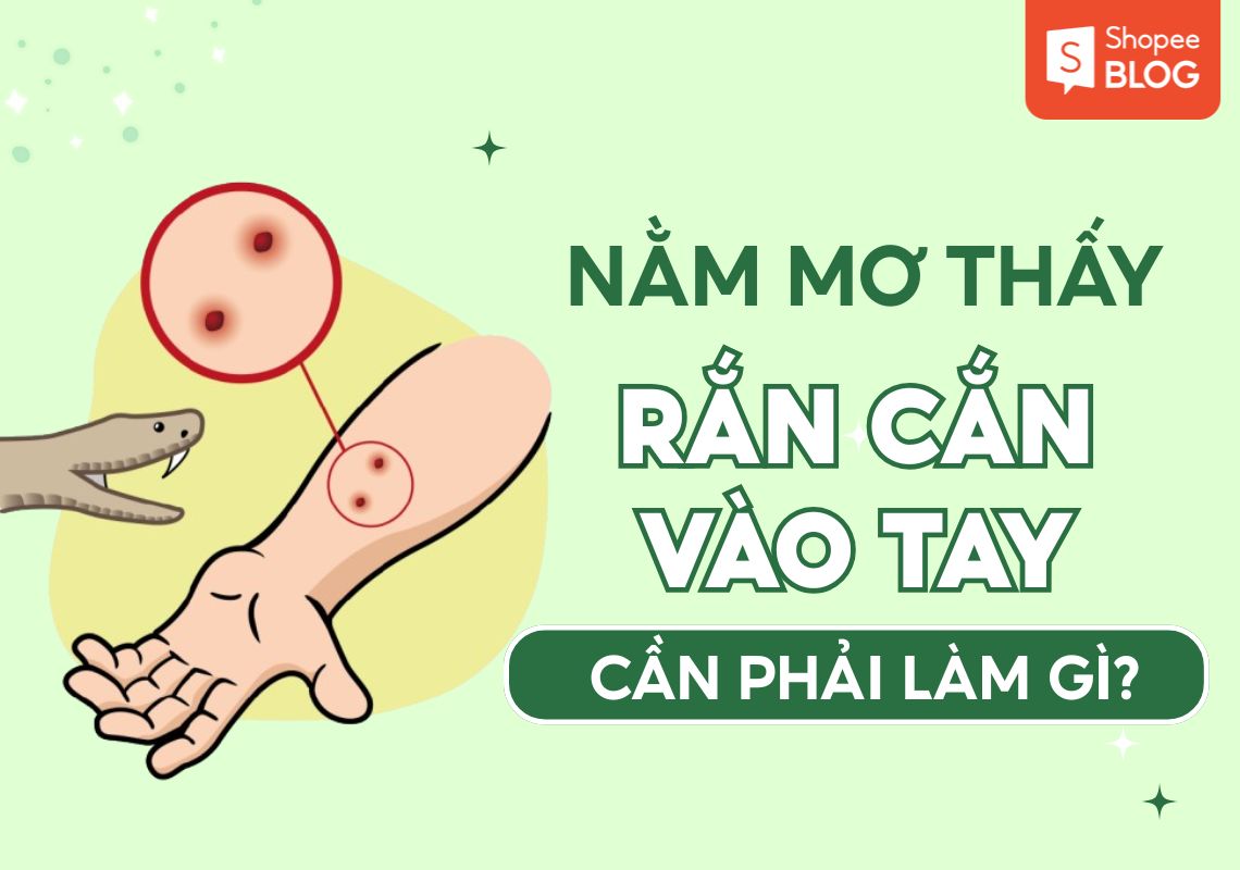 Nằm Mơ Thấy Rắn Cắn Vào Tay: Giải Mã Điềm Báo Và Ý Nghĩa Thật Sự 1