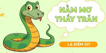 nam mo thay tran