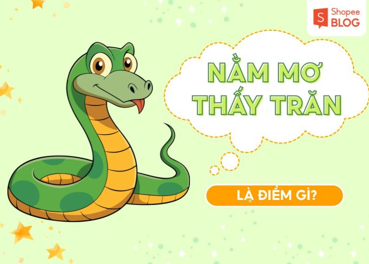nam mo thay tran