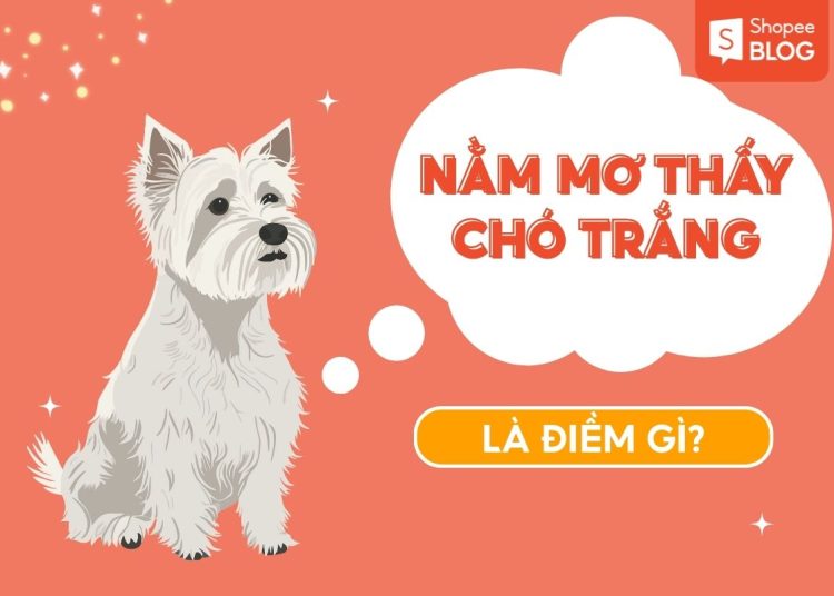 nằm mơ thấy chó trắng