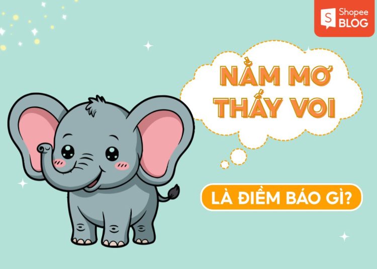 nằm mơ thấy voi