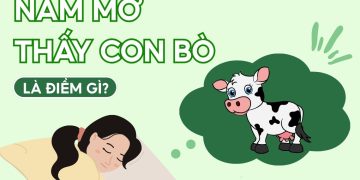 NAM MO THAY CON BO