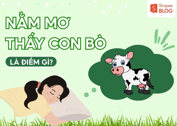 NAM MO THAY CON BO