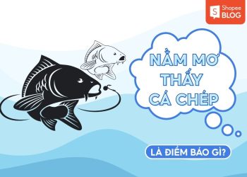 Nằm mơ thấy cá chép là điềm gì? Giải mã giấc mơ từ A đến Z 2