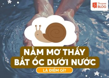 Nằm mơ thấy bắt ốc dưới nước là điềm gì? 1