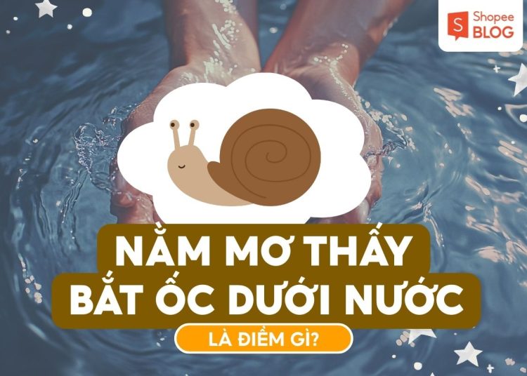 Nằm mơ thấy bắt ốc dưới nước là điềm gì? 1