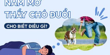 NAM MO THAY CHO DUOI