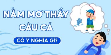 Nằm mơ thấy câu cá là điềm gì? Giải mã giấc mơ câu cá chính xác nhất 1