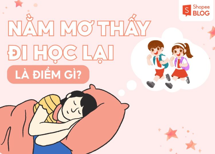 NAM MO THAY DI HOC LAI