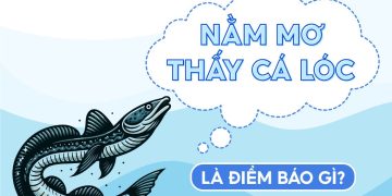 Nằm Mơ Thấy Cá Lóc Là Điềm Gì? Giải Mã Giấc Mơ Và Ý Nghĩa