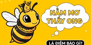 Nằm Mơ Thấy Ong: Giải Mã Ý Nghĩa Và Lời Khuyên Dành Cho Bạn 1