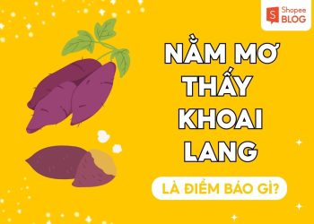 mo thay khoai lang
