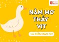 NAM MO THAY VIT