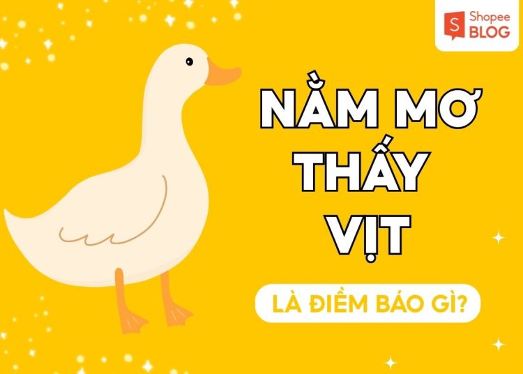 NAM MO THAY VIT