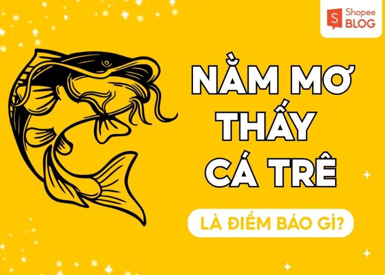 NAM MO THAY CA TRE