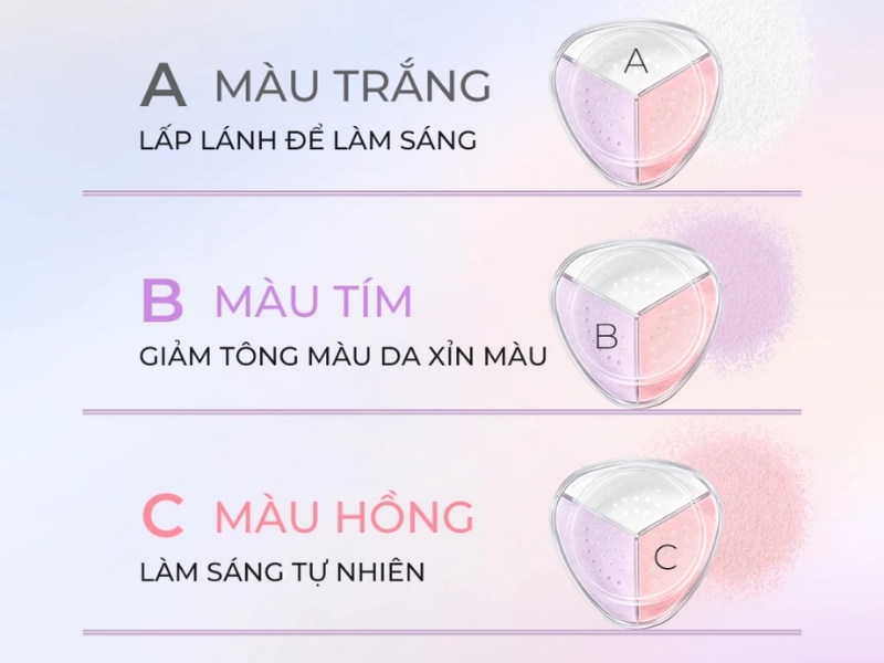 Bảng màu của phấn phủ Sace Lady
